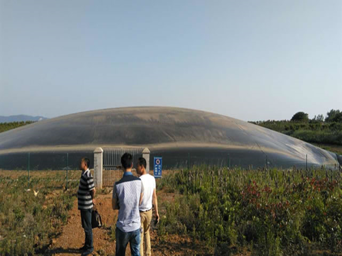 河南养殖场沼气池建设项目